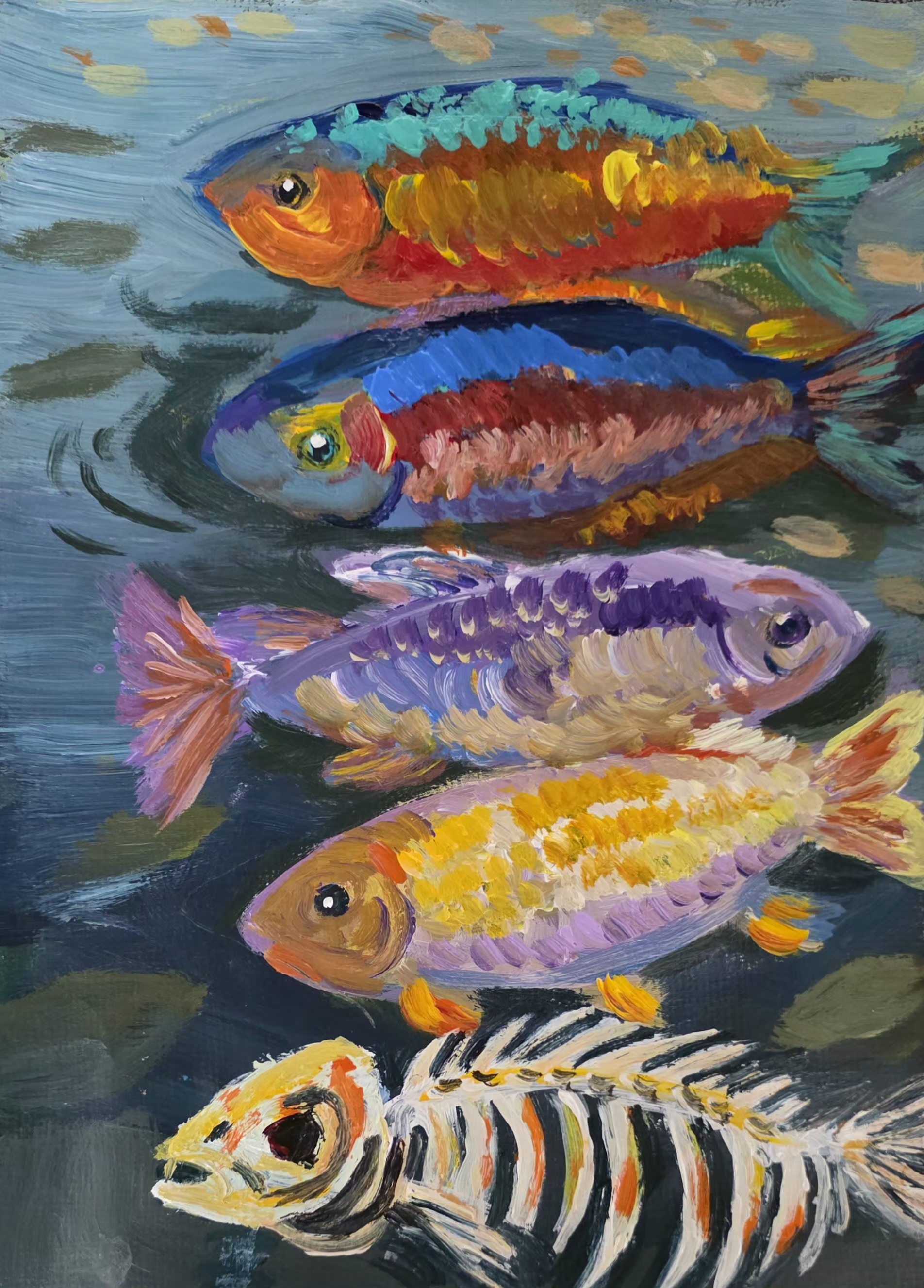Cairns Rainbowfish by Logan aged 8
