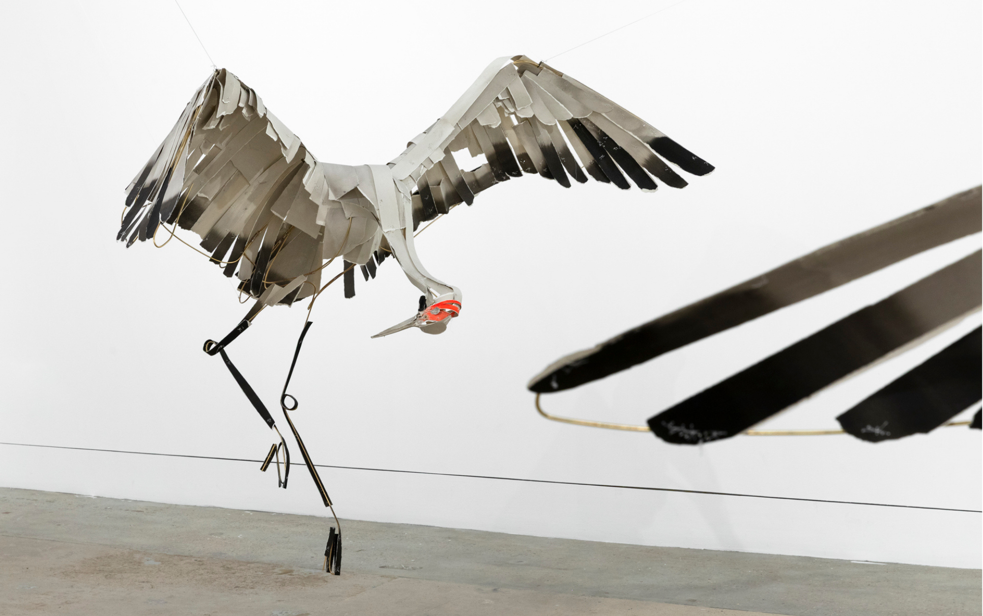 Mating Dance exhibition