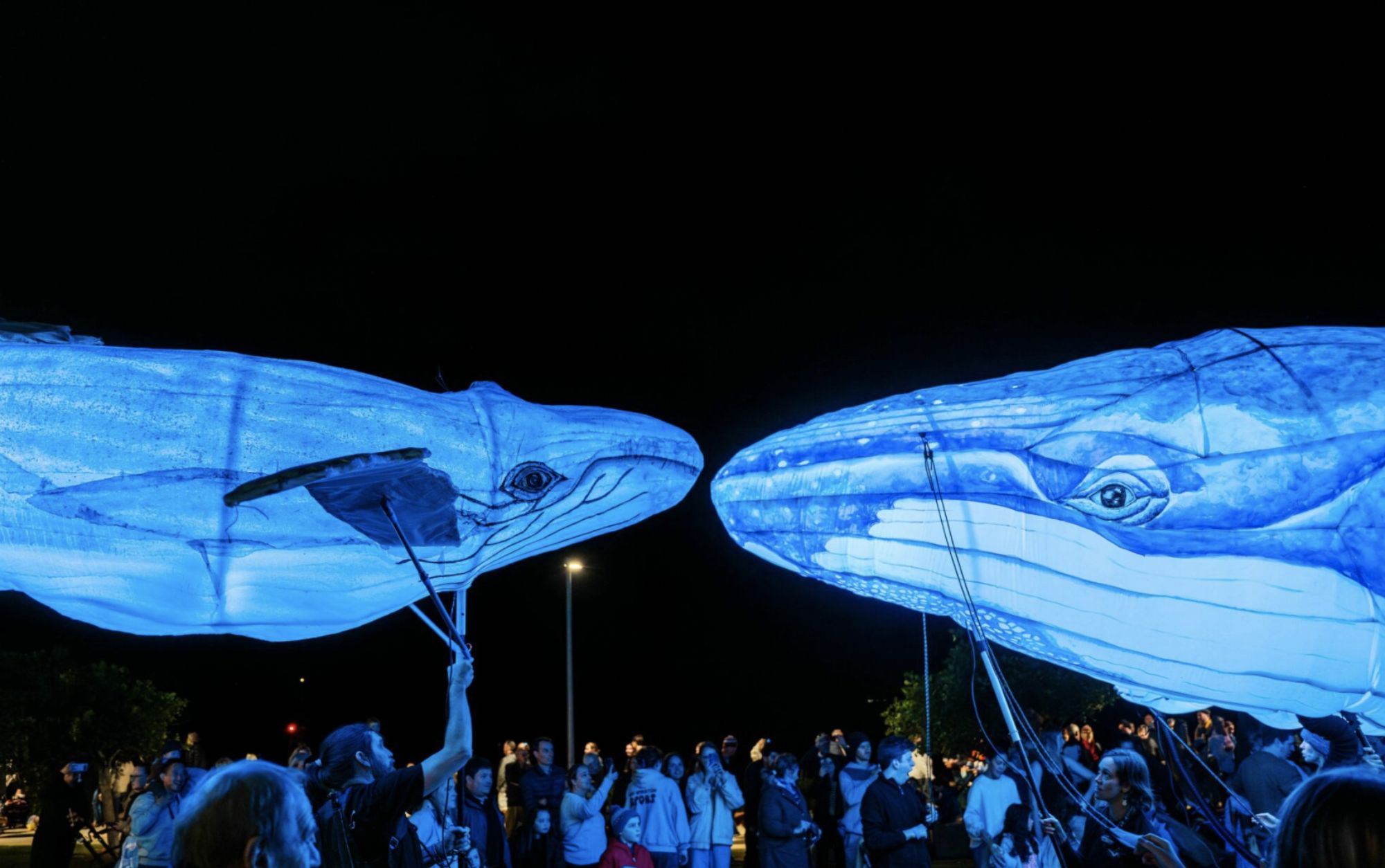 Picture of under water creature puppets lit up against the night sky 