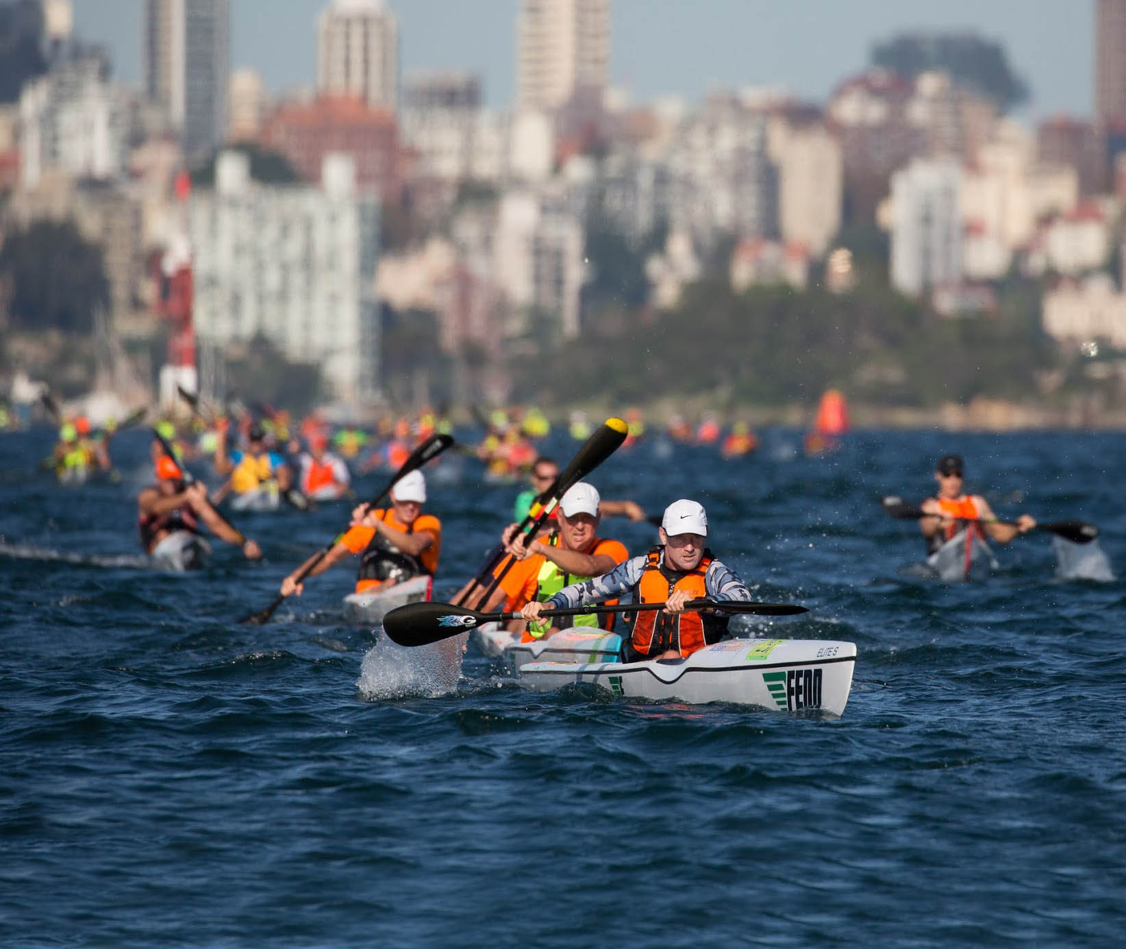 Rowers rowing on Sydney Harbour