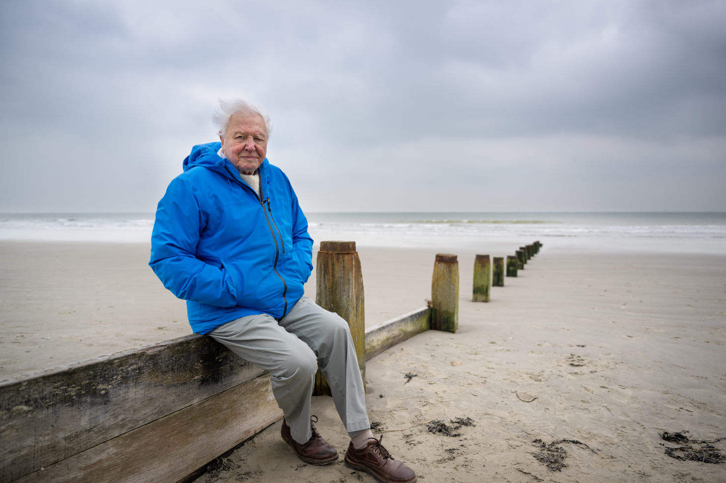 David Attenborough seating on old fence at the beach with ocean in the background