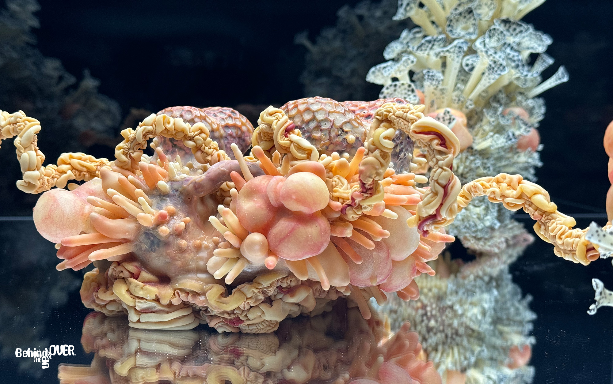 Behind the up and over exhibit 3