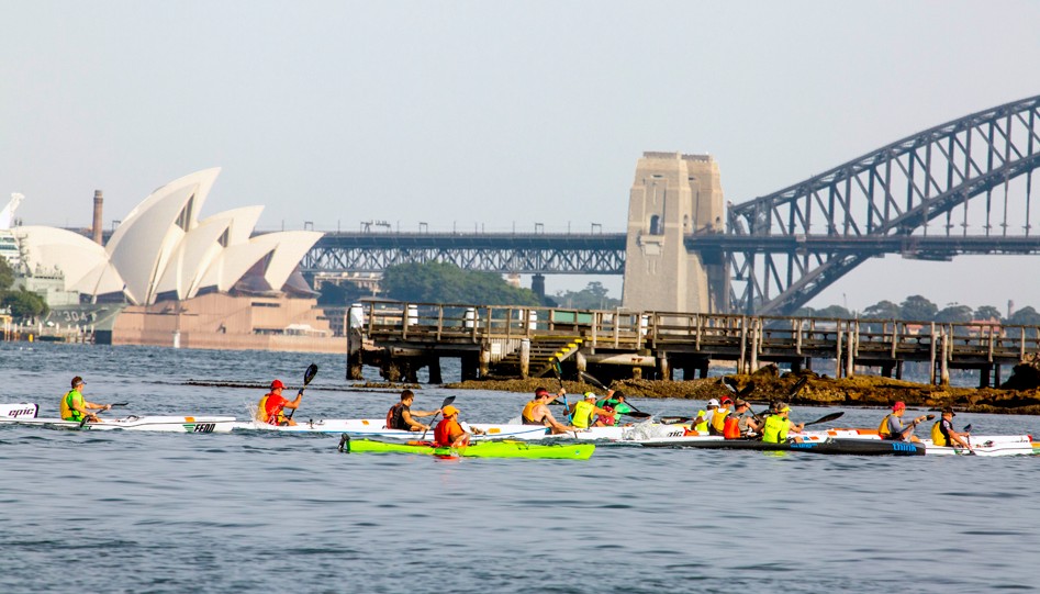 Rowers on water with Harbour Bridge