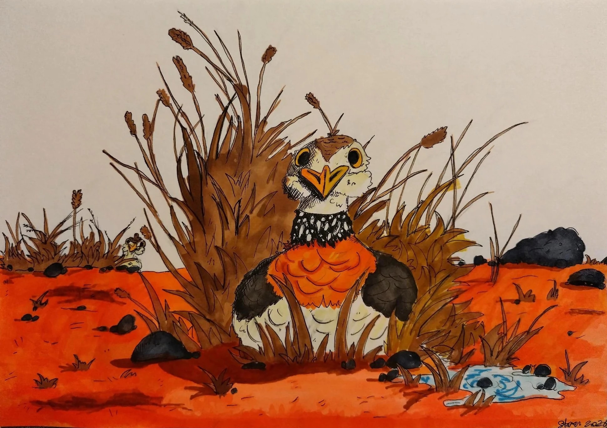The Plains Wanderer by Steven aged 12