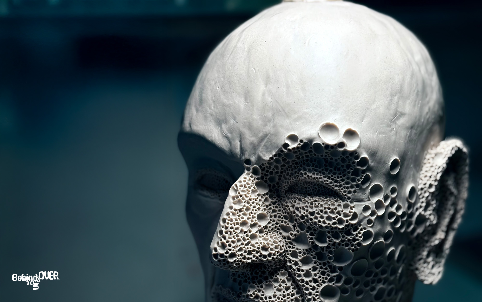 Behind the up and over exhibit 5