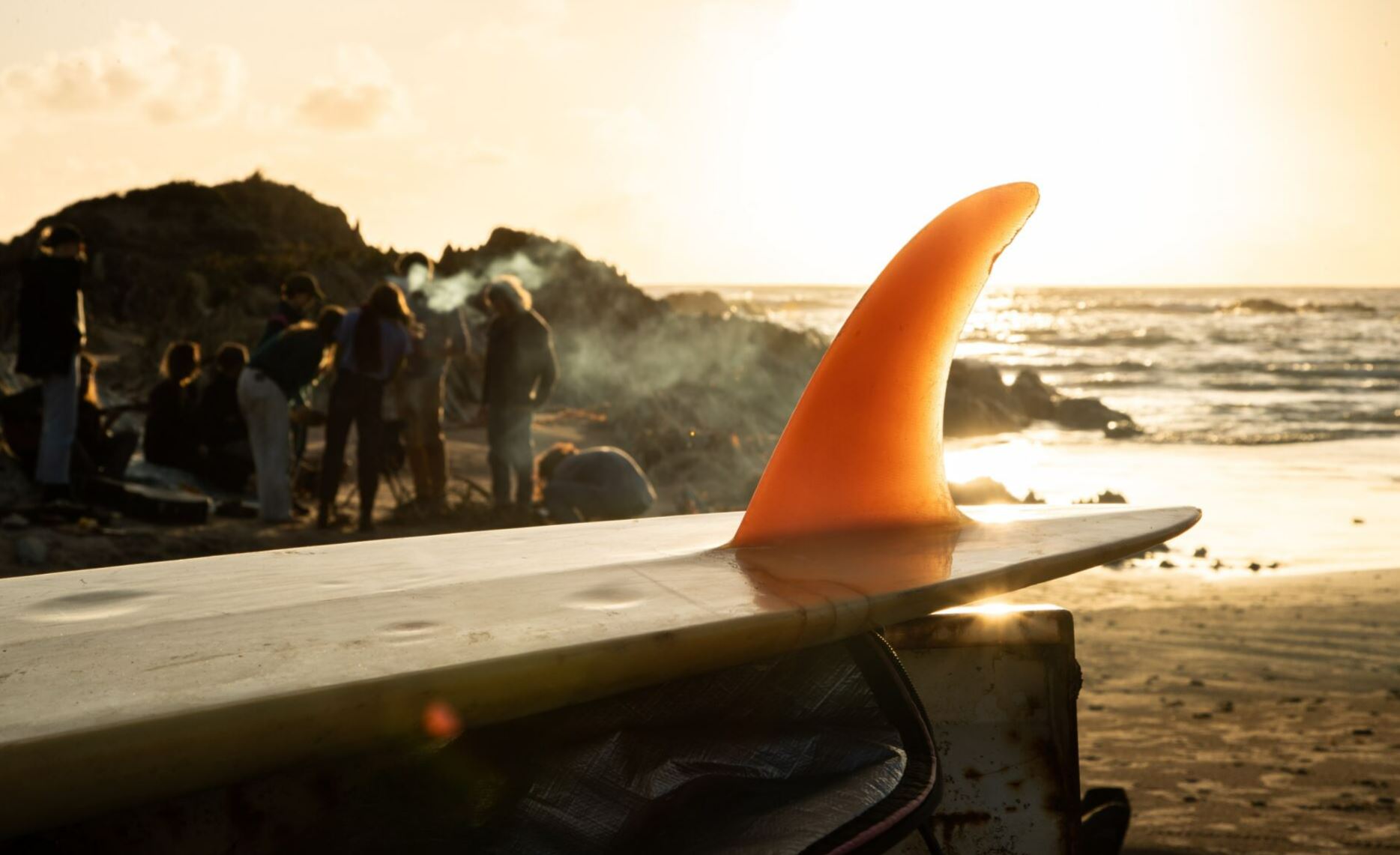 Surfboard fin with the ocean in the background