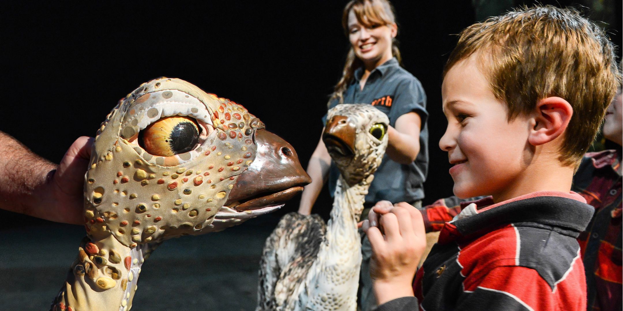 Erth's Dinosaur Zoo
