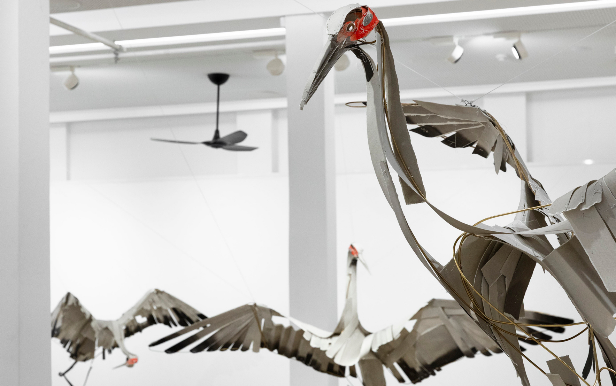 Mating Dance exhibition