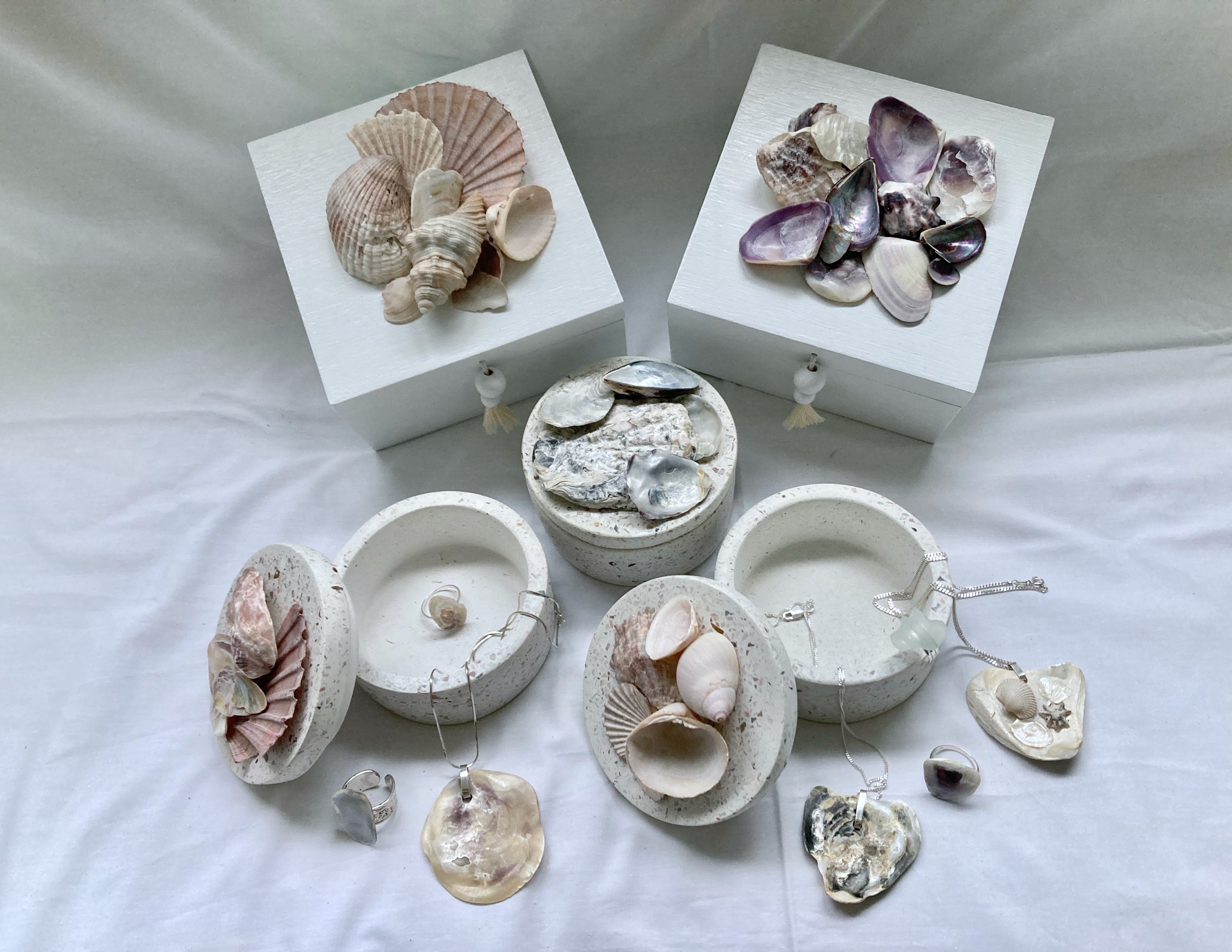 Shell designs by Lisa Knight